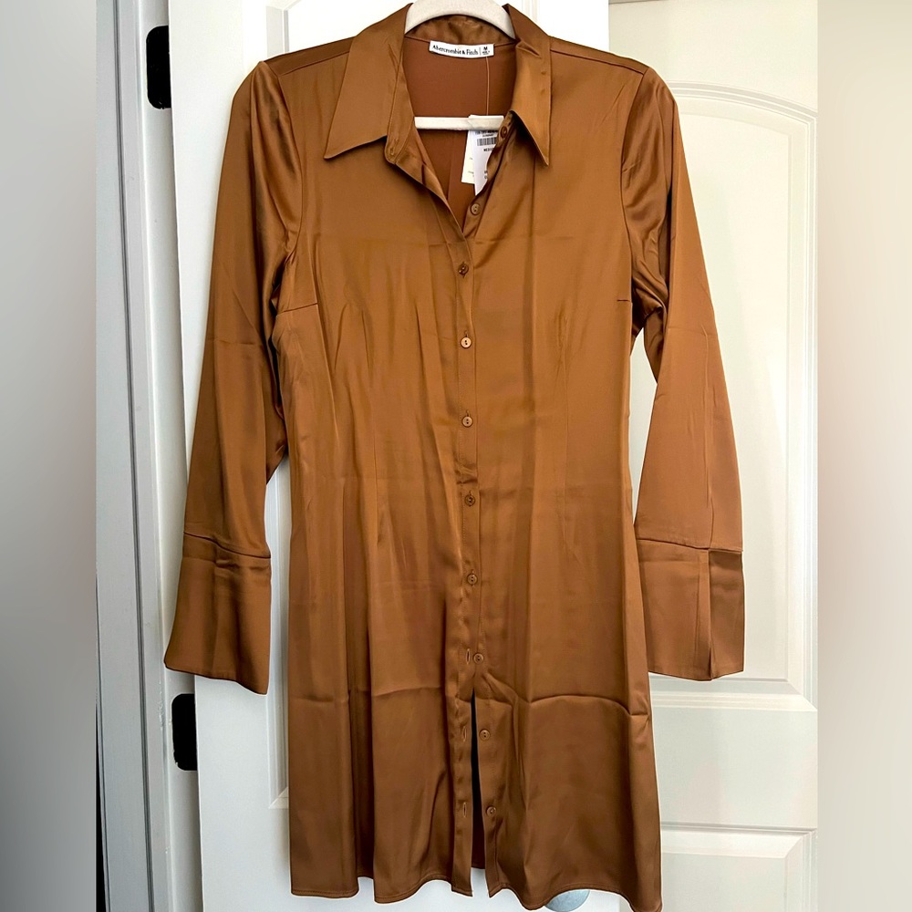 Satin Shirt Dress